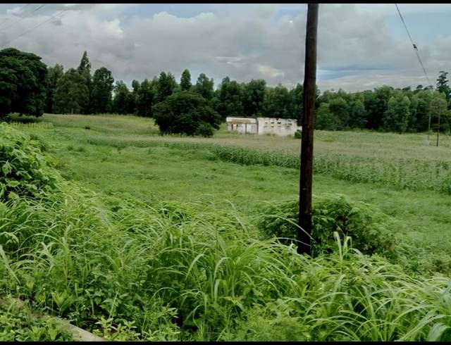 2.80HA VACANT LAND FOR SALE IN LEVUBU
